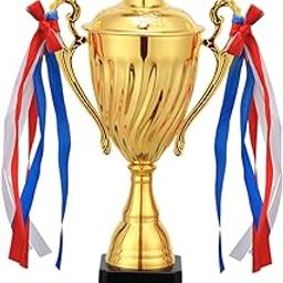 MERISHOPP Trophy Cup Winner Carnival Tournaments Metal Football Competitions Award Cup 29cm| Sports Equipment | Outdoor Sports Gear | Exercise Gear-image-49