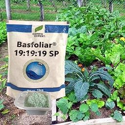 COMPO EXPERT Basfoliar B19 From Germany Npk Plant Growth Regulator Powder For Home Garden & Plants- Stress Alleviator- Results In Higher Yield - Colour Of Product May Vary 1Kg-image-27