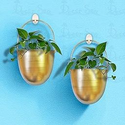 Decor Sea® Wall Hanging Metal Planter for Balcony Living Room Patio Garden Wall Mount Indoor Plant Flower Pot Home Decoration Combo of 2 Golden (Set of 2)-image-57