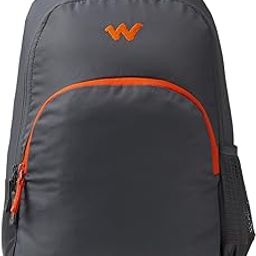 Ace 20L Laptop Backpack for Travel Gym Office | Unisex Backpack with Rain Cover | Lightweight & Durable Bag for Men & Women-image-17