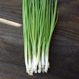 Bunching onion_Vegetable_Pack of 20 seeds-image-31