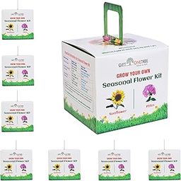 Grow Your Own Seasonal Flower Premium Kit - Pack of 6 - Best Return Gift For Kids Birthday Party (Seasonal Flower Kit, 6, count)-image-13