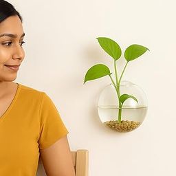 ecofynd Glass Vase for Flowers Plants, Modern Decorative Vase for Home Decor Center Table, Bedroom, Living Room, Office Decoration, Wedding or Gifts (GVASE007)-image-20