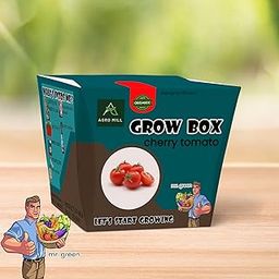Organic Cherry Tomato Exotic Veg Grow Box/KIT | Includes Large Pot,Potting Mix,Seeds,Scraper Tool,Root-O-Shoot,Plant NUTRIFIER,Bug Deterrence Powder,Perfect for Home Kitchen Garden & Gifts-image-73