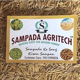 Sampada Foods Agritech | Pusa Basmati Paddy Seeds 1718 | Dhan, Rice & Paddy Seeds For Farming & Agriculture (Kheti ????) | Pure Pusa Basmati Rice Seeds | 6 Kg-image-8