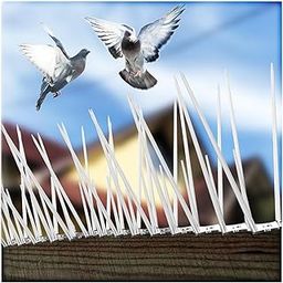 Bird and Pigeon Spikes, Pigeon Control Spikes| Anti Bird Plastic Spikes for AC Balcony Railing Window Home Protection from Pigeon Dog Monkey Crow Kabootar Transparent (Spikes, 10, Pack)-picture-13