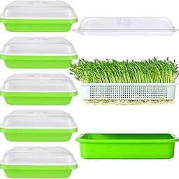 SHUESS 6 Pack Seed Sprouting Tray with Drain Holes BPA Free Nursery Tray Microgreens Growing Trays Wheatgrass Grower Sprouting Container Seed Germination Propagation Trays for Garden Home Office.-image-39