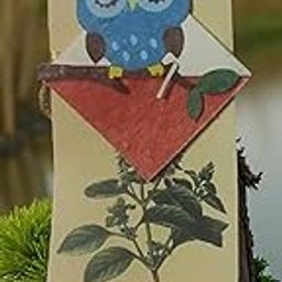 Plantable Seeds Designer Rakhi with 1 Coco Pot | Biodegradable Rakhi Set with Seeds | Sustainable Raksha Bandhan Gift-image-18