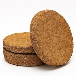 Gau Dharma Natural Cow Dung Kande 2 Inches – Eco-Friendly Pooja Item for Havan, Rituals, Compost, Organic Fuel – Pure Desi Cow Dung (Pack of 20) (Set of 50)-image-37