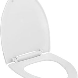 Parryware Casa/Cascade NXT Regular Seat Cover with Hinges | Eco-Friendly Material with Superior Finish | Round Shape & Ultra White Colour | Commode Seat Cover with Antibacterial Technology (E82991C)-image-74