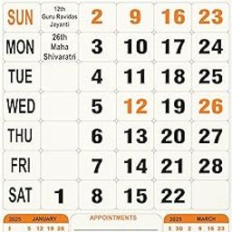 AccuPrints 12 Pages 2025, 14 by 20 inch Offices Wall Calendar Large Dates with Space for Marks/Notes-Yellow color-26
