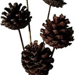 IDIKA Living Natural Dried Pine Cones | Set of 5 Sticks | Long-Lasting for Home Decor & Crafts | Perfect for Vase Fillers, Wreaths & Festive Arrangements | Ideal for Seasonal & DIY Projects(Natural)-picture-24