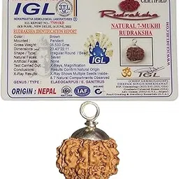 generic 7 Mukhi Rudraksha Original Certified | 7 Faces Nepali Rudraksha Original Certified with Certification | by Shree Rudraksham (for Wealth) (Bead Size 22-23 mm)-picture-36