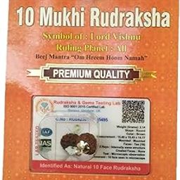 Rudraksha Brown Certificate Lab Test & X-ray Report with Silver Capping| Rudraksha Pendant for Men & Women-image-38