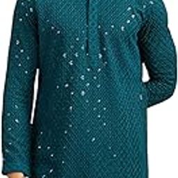 Men's Viscose Chikankari Sequined Kurta (1pc)-image-64
