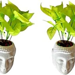MoneyPB2012 Artificial Money Plant with Buddha Pot Pack of 2 PCS Pack of 2 PCS-image-82