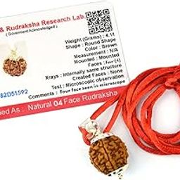 Certified 4 Mukhi Rudraksha Four Faced Pendant Locket (Brown) for Unisex Adult-picture-41