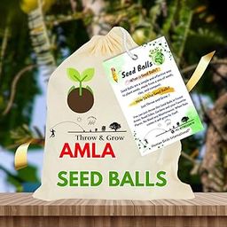 50 Pcs Seed Bombs, Seed Balls, Gift, Just Throw and Grow, The Natural Way to Grow Trees Anywhere (Amla 50 Seed Bombs)-image-36