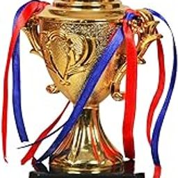 Trophy for School Student Appreciating Best Student-9.8 Inch-picture-32