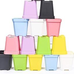 MosQuick® 3 inches 25 Pcs Flower Pot for Living Room planters for Home Decor Balcony Decoration Items tulsi Pot for Home Pot for Plant pots for Plants Balcony Mix Color Blue Green Pink Orange Yellow-1