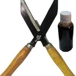 Pack of 2 Gardening Scissor and OIL Combo Tools, OIL is helpful for long life of scissor,Mehandi Cutter,Grass Cutter,Lawn cutter,Gardening Tree Cutting Scissor for cutting grass (useful)-picture-25