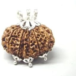 Gemstone Gallery Natural Trijuti Rudraksha त्रिजुटी Nepali Rudraksha Genuine Tribhagi Rudraksha Trijuti Rudraksha Original Certified A1 Quality Brown Bead Gauri Path Rudraksha for Men & Women-picture-9