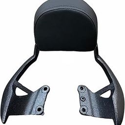 BIKE AUTO ACCESSORIES Heavy Aluminum Cushion Backrest Passenger Seat Back Support Plate Compatible for Hunter 350 Black-image-98