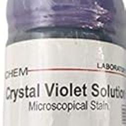 ISOCHEM Crystal Violet Solution (125ML)-0