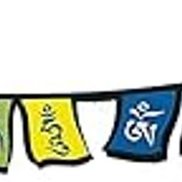 Allied Sales Tibetan Sticker for CAR and Bike ASTS-1008 Multicolored-4