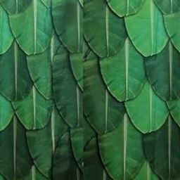 Talambralu wedding backdrop cloth Suitable for all functions/festivals/house hold functions/ 8 feet width / 5 feet height (Aritaku design 8 * 5)-63