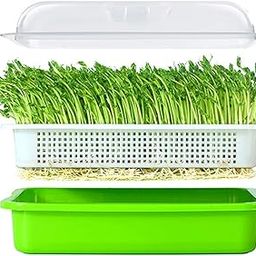 Anirdesh Garden Seed Sprouter Tray Bpa Free Pp Soil-Free Big Capacity Healthy Wheatgrass Grower With Lid Sprouting Kit 13.4X9.84X4.72 Inches (Pack Of 1 Pcs), Green-10