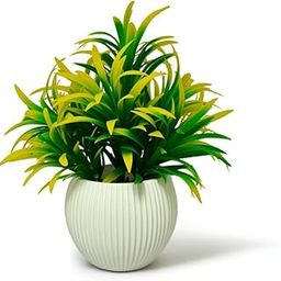 Dream World Dcor Yellow Leaves Circle Small Potted Plant | Compact Faux Plant for Tabletop & Gifting-image-48