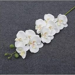 SPHINX Artificial Orchid Stick 9 Flower Heads–69 cm Phalaenopsis Faux Flower for Home Decor,Table Centerpiece,Wedding,Hamper,Trousseau,Gift Inserts,Realistic Floral Decoration- (1, White)-image-62