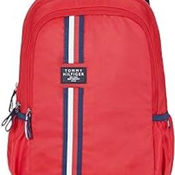 Blaise 19 Inch Unisex Latop Backpack (14 Inch)-image-51