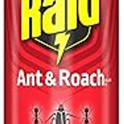 Raid Ant & Roach Killer Insecticide Spray-Fragrance Free - 17.5 oz-image-2