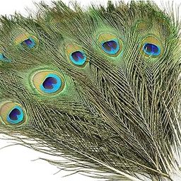 Unyque 10 Piece Real Natural Peacock Feather Original Feathers 10-12 Inch for Good Luck Art & DIY Craft, Wedding, Home and Party Decorations Feathers (10 Pcs)-image-23