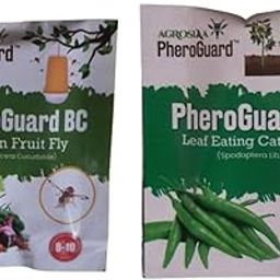 BC Bactrocera Cucurbitae Lure | Melon Fruit Fly Control Pack of 10 | & | SL Spodoptera Litura Lure | Leaf Eating Caterpillar Trap | Pack of 10 |30-35 Days-image-37
