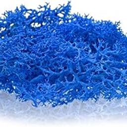 Aadya Crafts Preserved Reindeer Moss 20 Grams or 0.70oz Dark Blue Coloured with Natural Pigments JIM205 for Potted Plants, Weddings, Festivals, Gardens, Fences, Floral Honors, Models-image-44