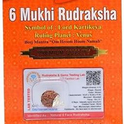 PANDIT NM SHRIMALI 6 Mukhi/Faced Nepali Rudraksha | Natural & Certified | Six Mukhi/Faced Rudraksha | Unisex Both for Men & Women-image-24