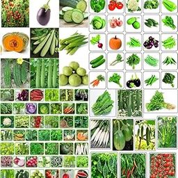 Vegetable seeds combo pack beez Exotic Hybrid vegetable seeds Mix organic vegetable seeds 50-image-62
