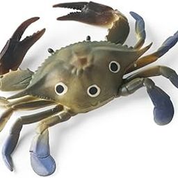 Amitasha Realistic Crab Aquatic Animal Toy for Kids Fish Squishy Figurines Rubber Sea Animal Soft Squeeze Toy for Boys Girls Lookalike Ocean Creatures Educational Gift-picture-2