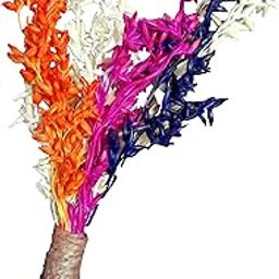 Handcrafted Natural original Multi Color Real Flowers Boutonniere Brooches for suit and blazer for Men's And Woman's-12