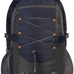 large Laptop Backpack Unisex Spacy Fits Upto 16.5 Inches/College Bag/School Bag-image-94