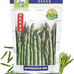 JD AGRO Asparagus Herb Plant Seeds F1 Hybrid Seed Best for Home Gardening (Pack of 25 Seeds)-image-58
