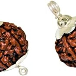 GEMFINITY Natural 4 Face Rudraksha Original Certified Nepali 4 Mukhi Rudraksha Buy 1 Get 1 Free Chaar Mukhi Rudraksha with Capping Four Mukhi Rudraksha Beads Blessed Lord Brahma चार मुखी रुद्राक्ष-12