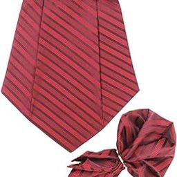 Rushy Red Cravat & Pocket Square set For Men-picture-49