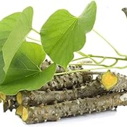 Corofitam Giloy Ayurvedic herb/Giloe/Guduchi/Amrita-image-1