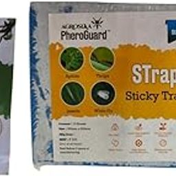 BC Bactrocera Cucurbitae Lure | Melon Fruit Fly Control for Agriculture Pack of 20 | & | 8 x 12 cm Blue Sticky Trap Pack of 10 Sheets Garden Agriculture Control-image-62