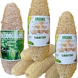 DecorGalore Natural Loofah Body Scrubber l 100% Organic & Biodegradable l Skin Exfoliating Ayurvedic Scrubber l Eco-Friendly & Plastic-Free Loofah l Reusable Bath Sponge for Men & Women l Pack of 3-image-4