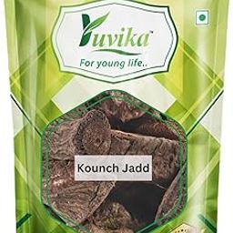 YUVIKA Konch Ki Jadd - Kaunch Root - Kounch Jadd - Mucuna Root (100 Grams)-image-56